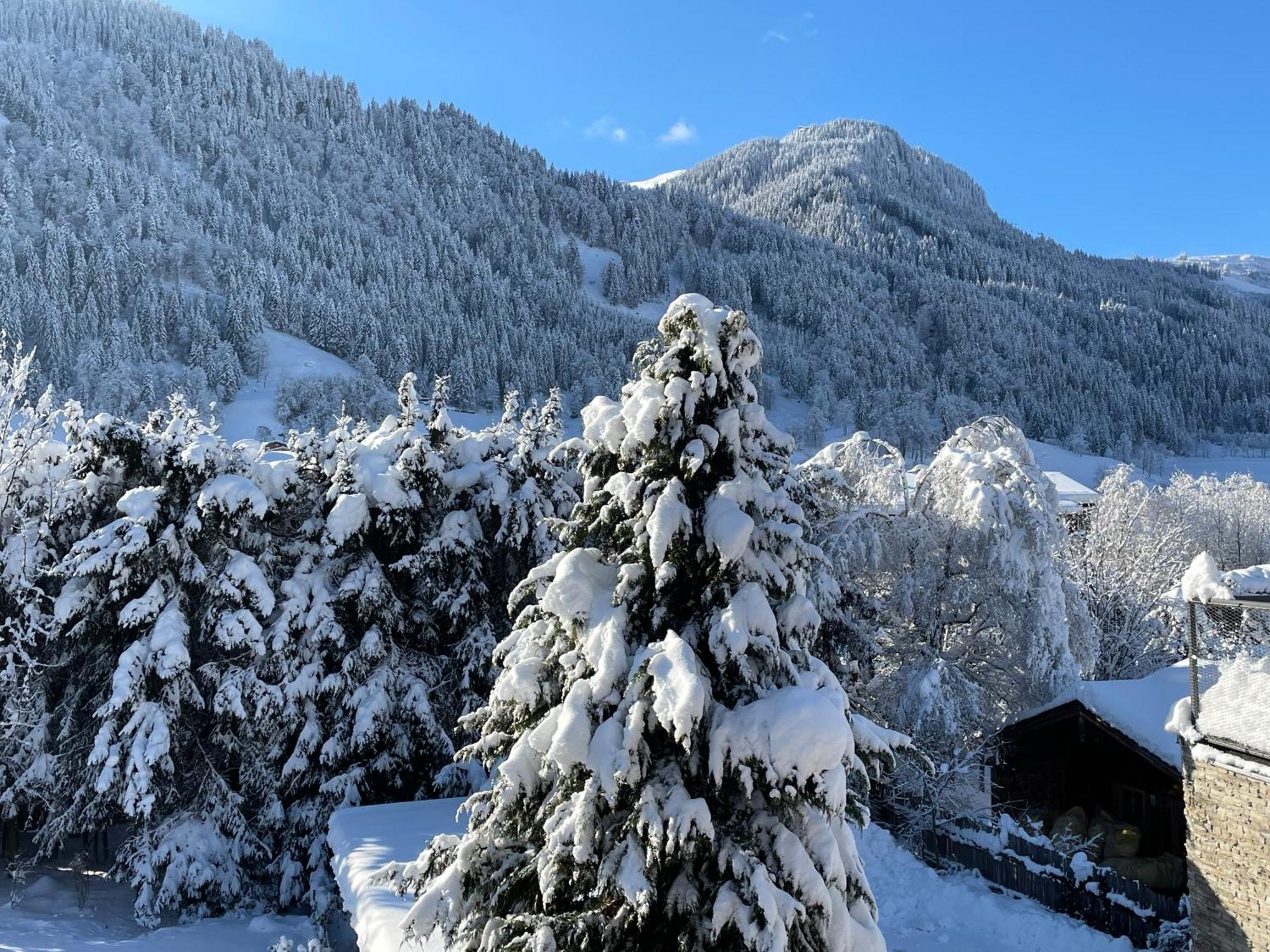 Bacherwiese Penthouse By Alpine Host Helpers Kitzbühel Zewnętrze zdjęcie